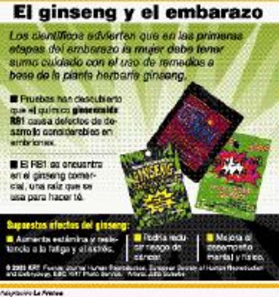 Salud El ginseng y el embarazo
