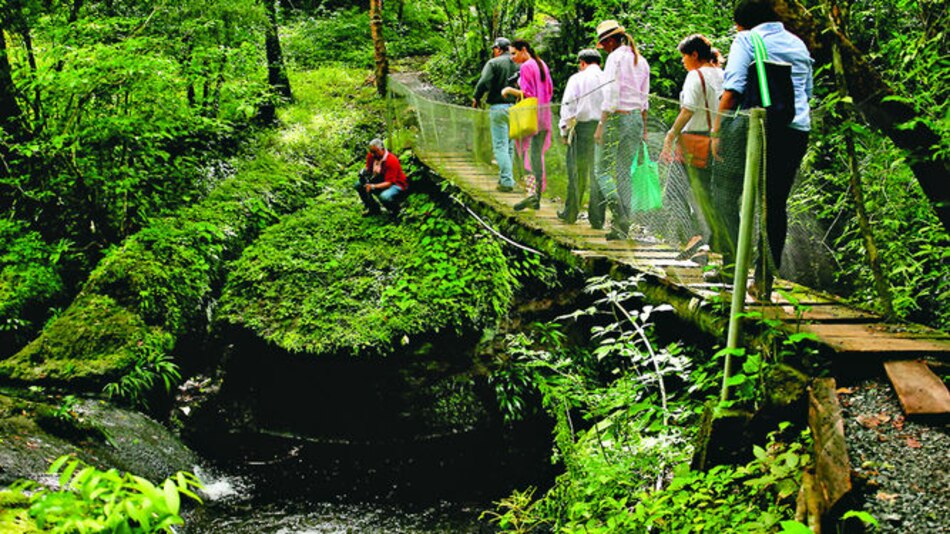 Vuelo chárter llegará con 300 turistas cada 7 días