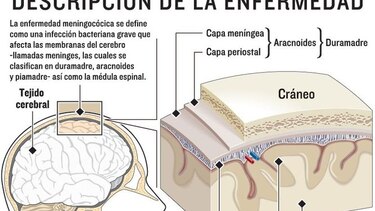 Vacunas para prevenir y erradicar infecciones