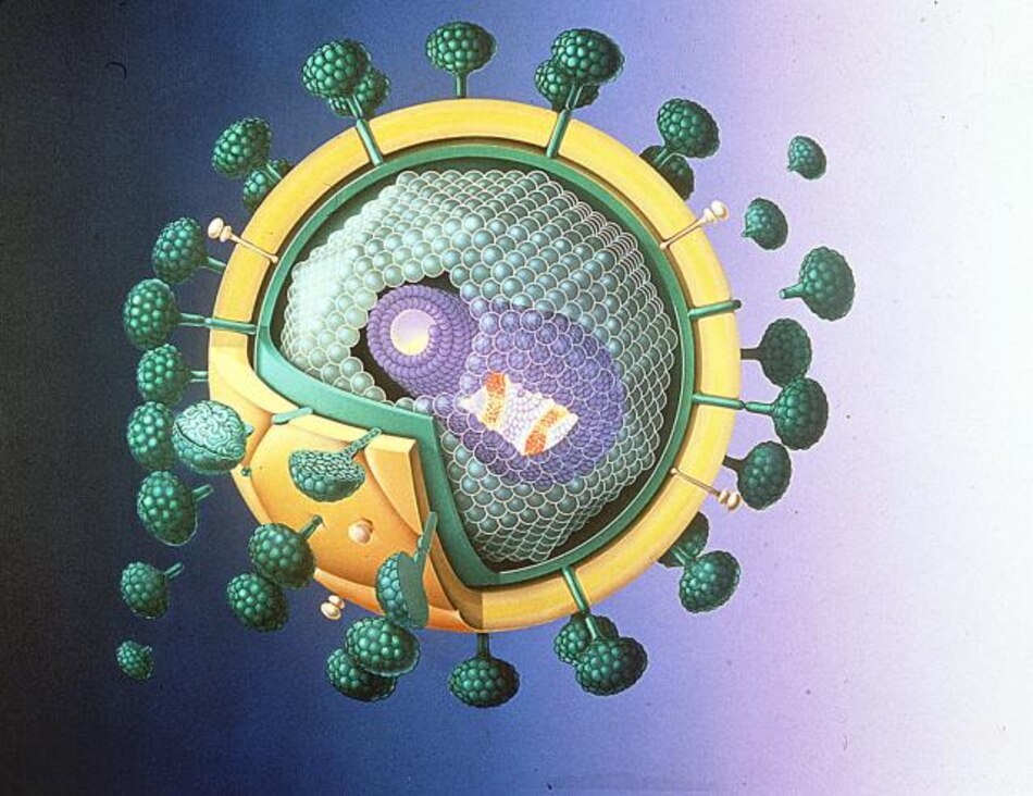Muertes por sida se redujeron más de un tercio en la última década