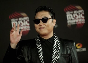 Un zorro, un coreano y un latino, entre lo más visto en Youtube durante 2013