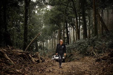 De la finca al café de alto valor: la transformación detrás de una taza de geisha