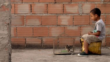 DocTv Latinoamérica: a favor del documental de la región