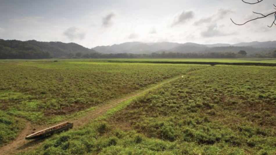 Vecinos y ambientalistas abordan problemas del río Chagres