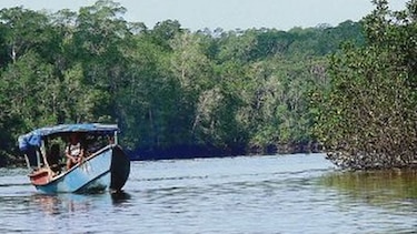 Pescadores buscan mejor red