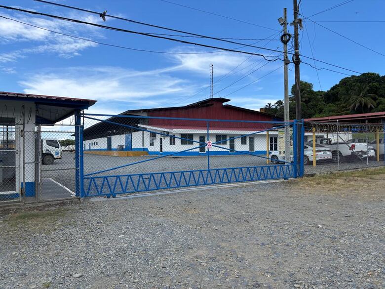 Coobana reactiva la producción bananera en Bocas del Toro