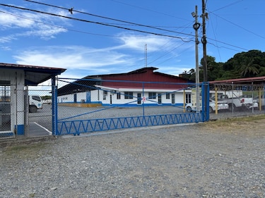 Coobana reactiva la producción bananera en Bocas del Toro