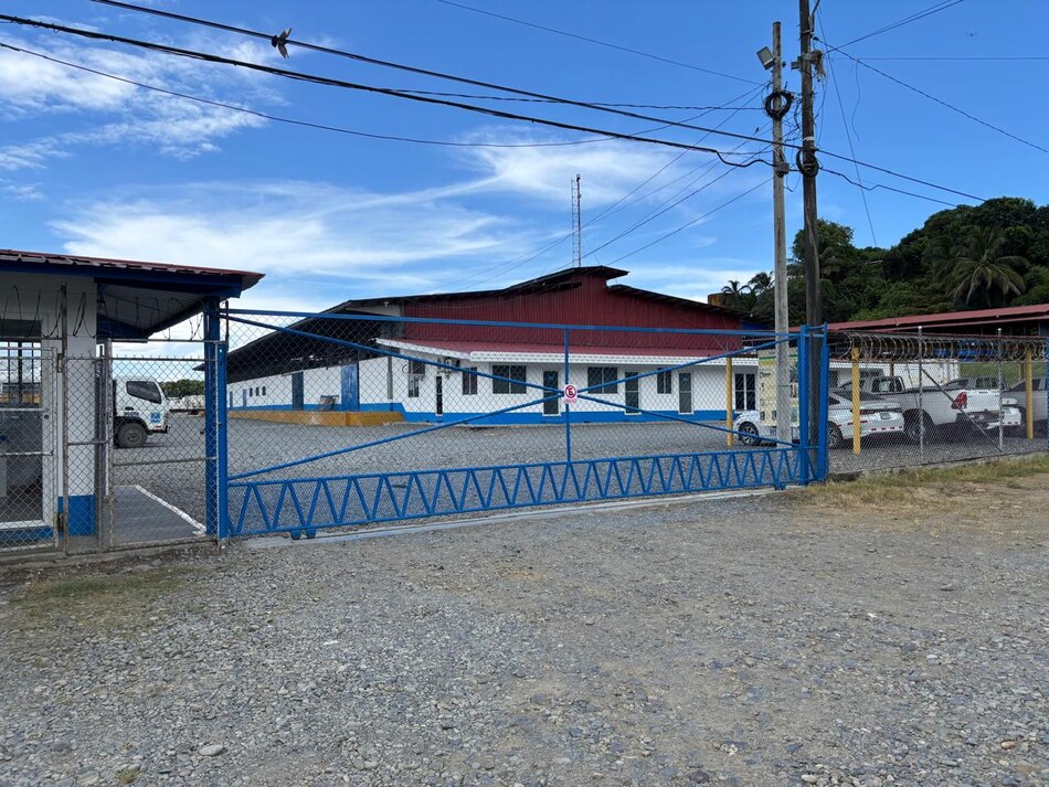 SIP: paralización en fincas bananeras amenaza empleos y competitividad internacional