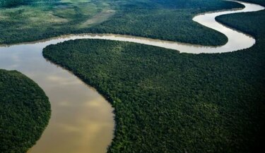 Asegurar tierras a indígenas en Amazonía da millonarios beneficios