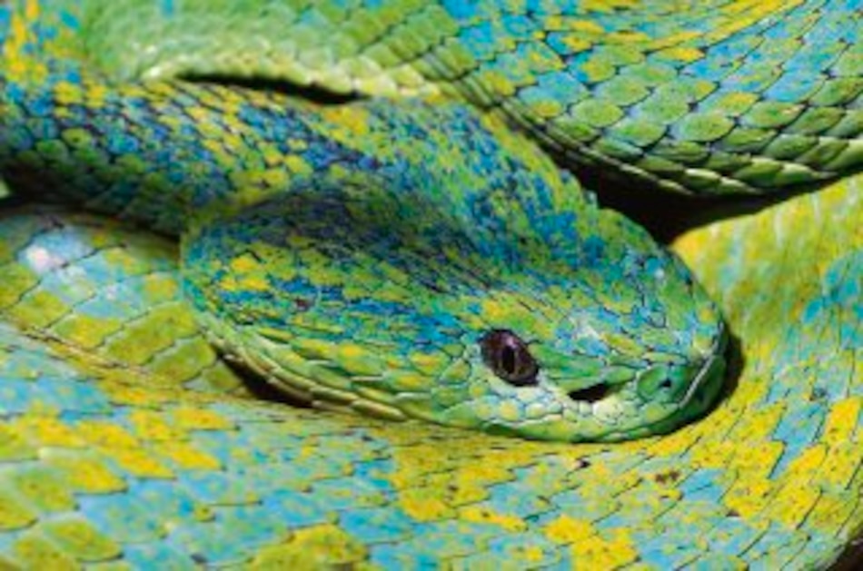 Una ´app´ para la naturaleza