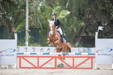 Trabajo y disciplina le rinden los frutos a Alessa Ortiz