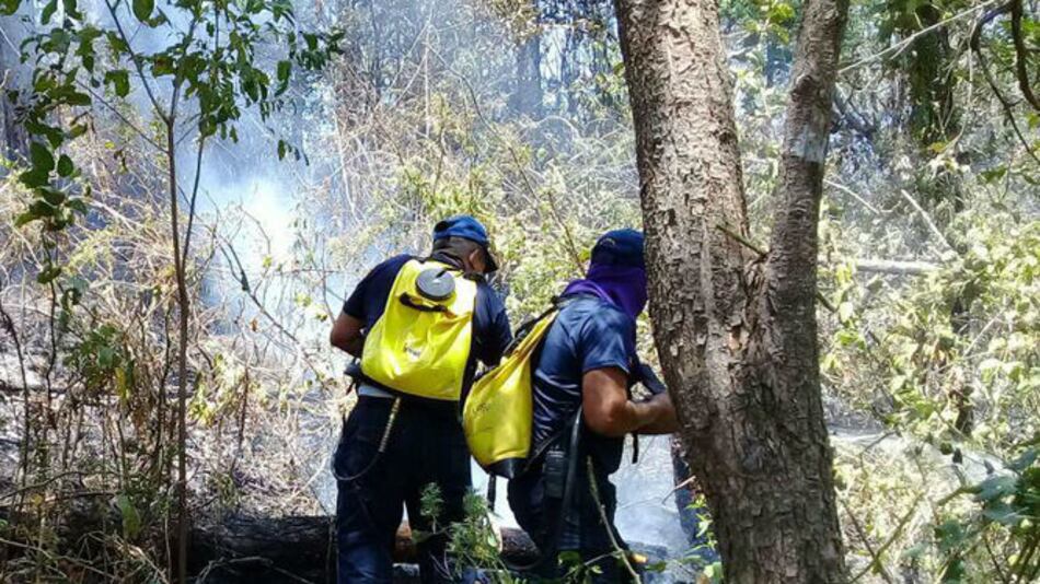 Incendio forestal en finca de Varela Hermanos en Pesé