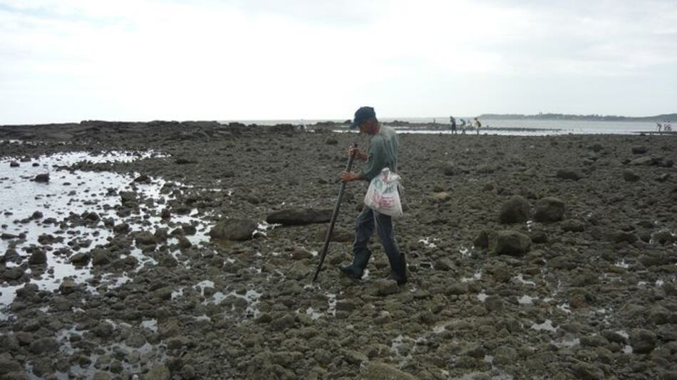 Contaminación en el río Guararé afecta la zona de manglares en La Enea