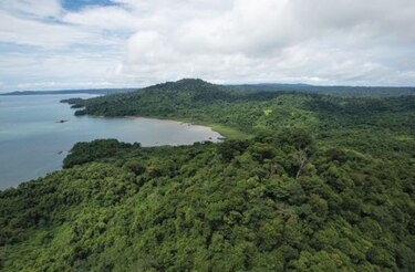 Bajo la lupa, plan de desarrollo en joya ecológica