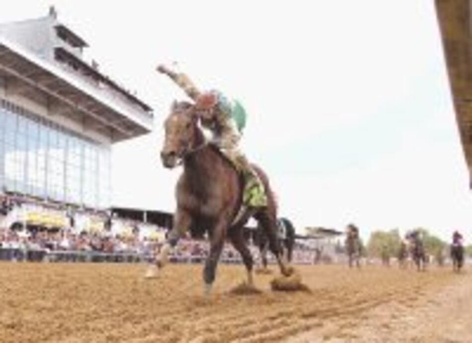 ‘Afleet Alex’ está saludable y sin problemas