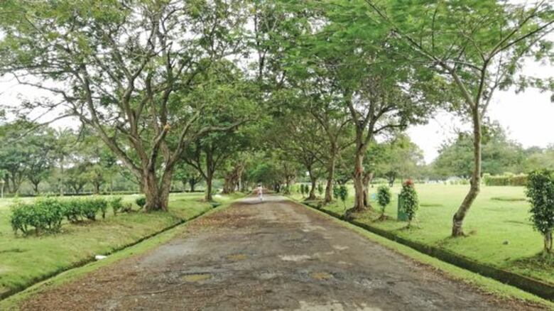 La tranquilidad del jardín