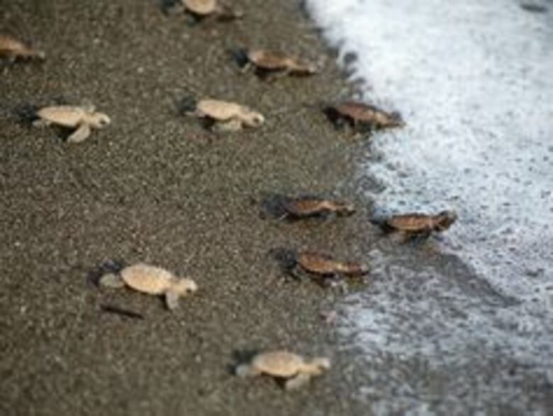 La madre Tierra se agota