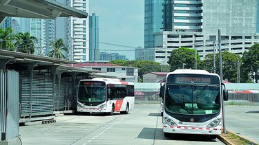 First Transit permanecerá con Mi Bus hasta 2019