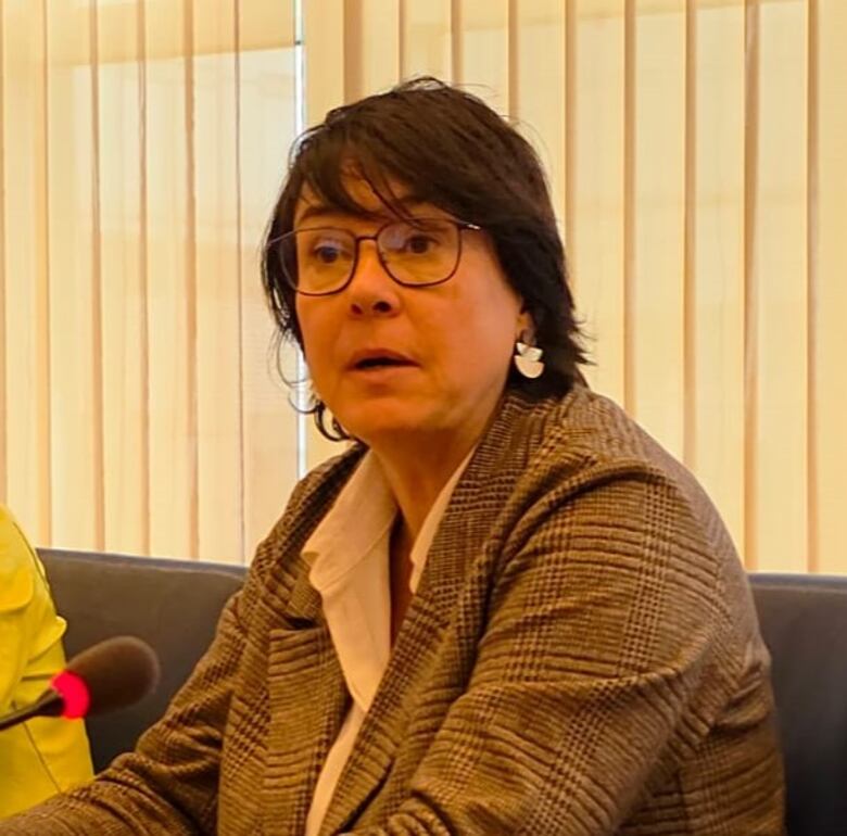 Grupo de eurodiputados apoya la soberanía de Panamá sobre el Canal