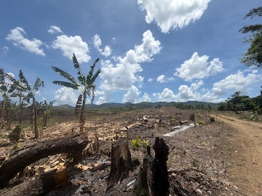 La Tierra no celebra, resiste