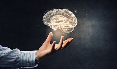 Mitos sobre el cerebro