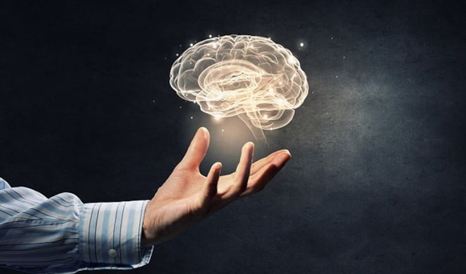 Mitos sobre el cerebro