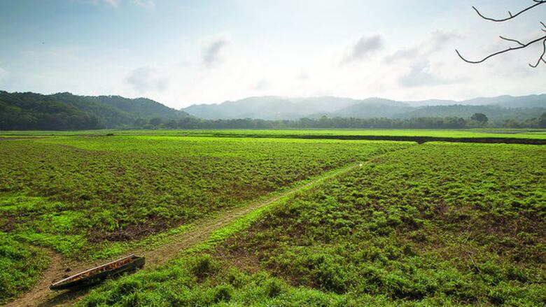 Se buscan voluntarios