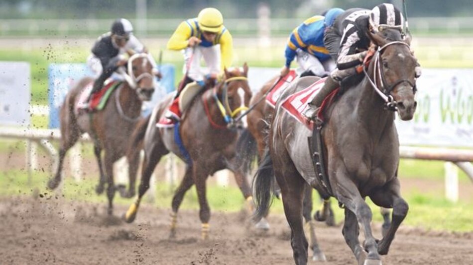 Hoy arranca la fiesta hípica del Caribe