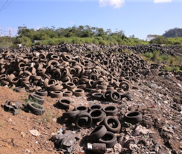 En el corazón del relleno de cerro Patacón, un sitio sin ley y orden