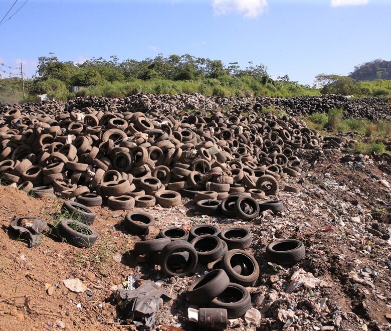 En el corazón del relleno de cerro Patacón, un sitio sin ley y orden