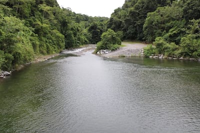 Hallan sin vida a joven arrastrado por cabeza de agua en Macho de Monte, Chiriquí