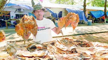 Poco apoyo a Feria del Pescado Seco