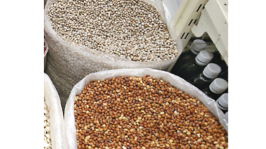 IMA acuerda compra de frijol a productores chiricanos