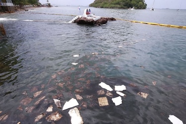 Permiten el acceso de bañistas a Taboga