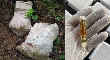 Decomisan 5,900 cápsulas de droga sintética en Chepo; nueva modalidad de tráfico de drogas