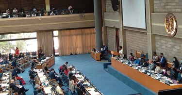 Reunión preparatoria de COP sobre biodiversidad concluye con avances marginales