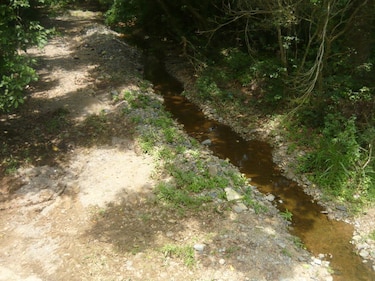 Los Santos: El río Estivaná se queda sin agua