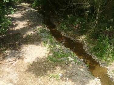 Los Santos: El río Estivaná se queda sin agua