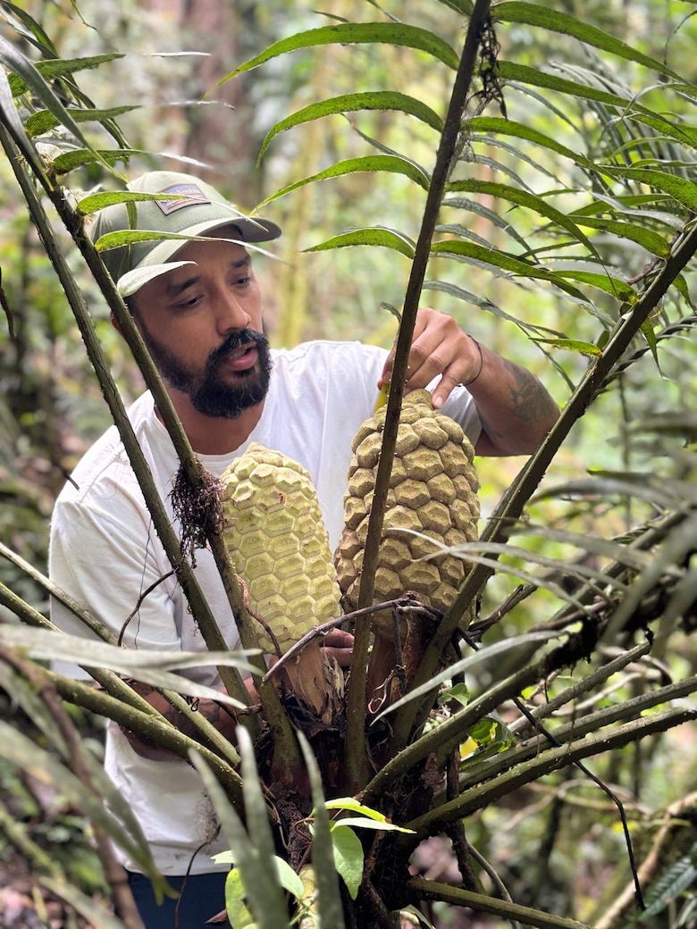 ¿Sabía que Panamá alberga plantas carnívoras únicas en el mundo?