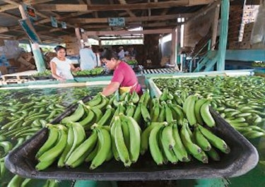 Panamá entra en la recta final hacia arancel cero con Estados Unidos
