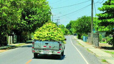 Esperan aporte de Del Monte