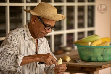 El benévolo maíz nuevo