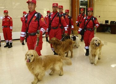 Arranca respuesta mundial a mortífero sismo en Nepal