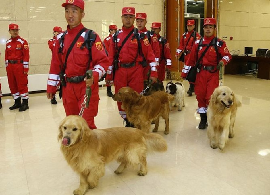 Arranca respuesta mundial a mortífero sismo en Nepal