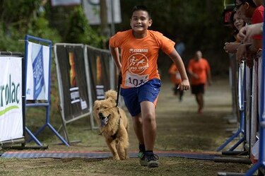 Carrera de perros para salvar el zoológico de Nicaragua