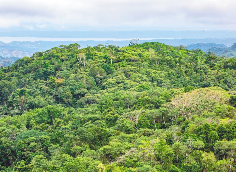 Refrescando las emisiones de CO2