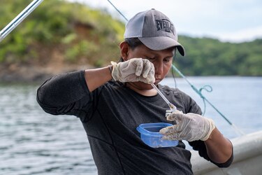 Biólogo revela evolución alimentaria de peces en Panamá