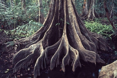 Identidad en tiempos de confusión
