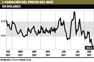 Industriales incumplen compra de maíz a productores