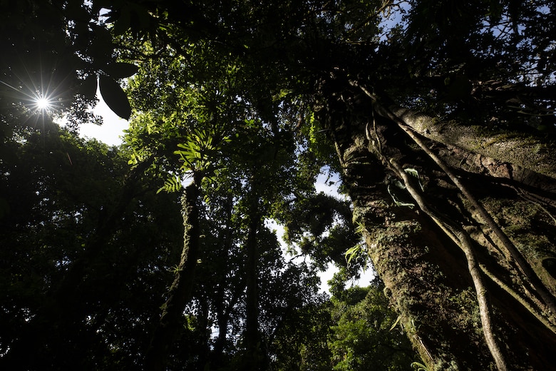 Cerro Chucantí, una joya ecológica entre las provincias de Darién y Panamá